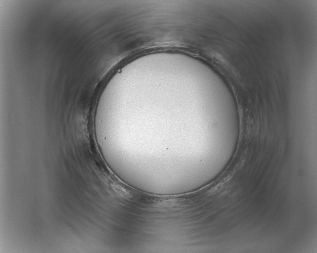 X0000064061162200602101523