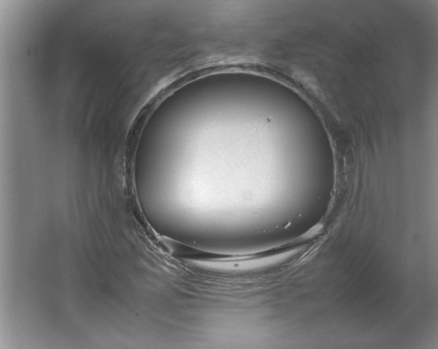 X0000064061165200602101522