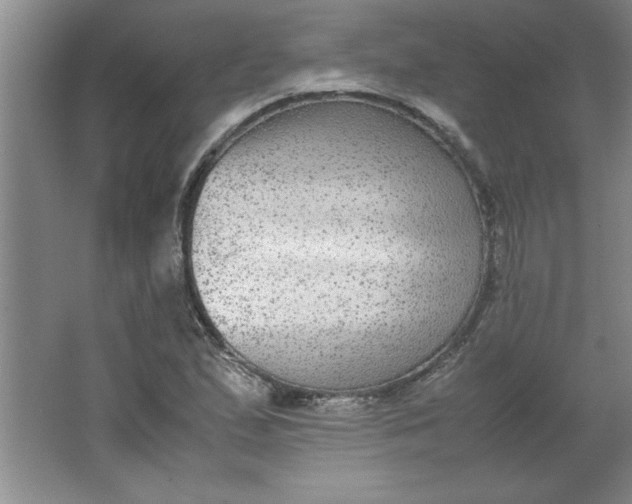 X0000064061167200602101522