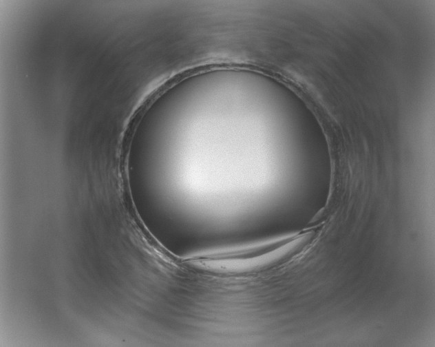 X0000064061168200602101522