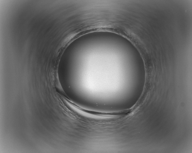 X0000064061169200602101522