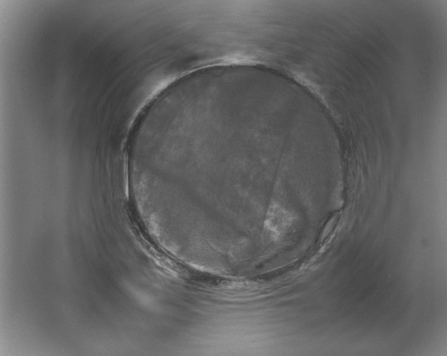 X0000064061171200602101522