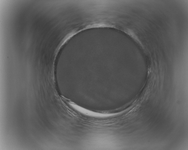 X0000064061173200602101522
