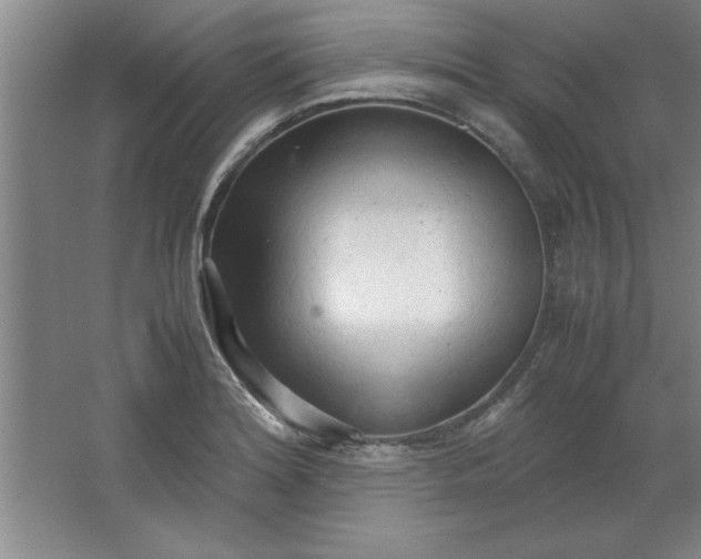 X0000064061180200602101522