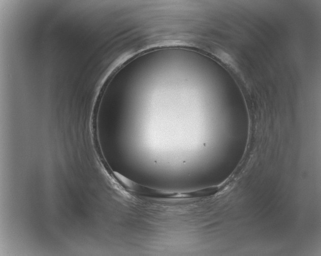 X0000064061181200602101522
