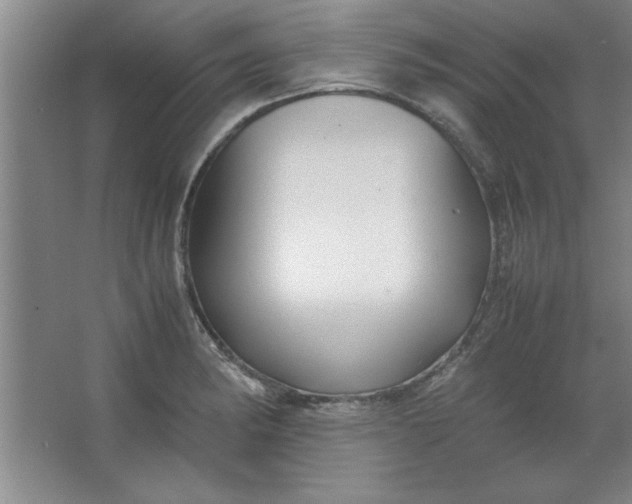X0000064061182200602101522
