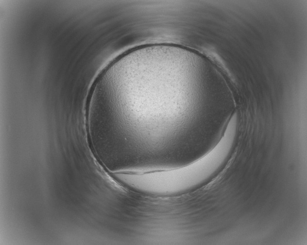 X0000064061184200602101522