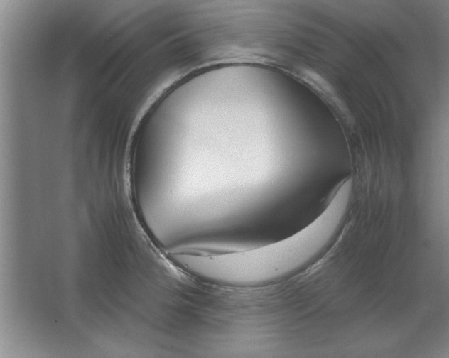 X0000064061188200602101522
