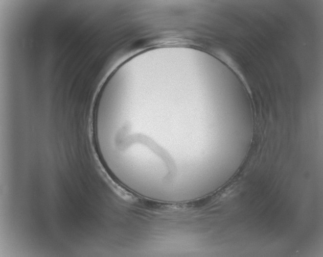 X0000064061195200602101522