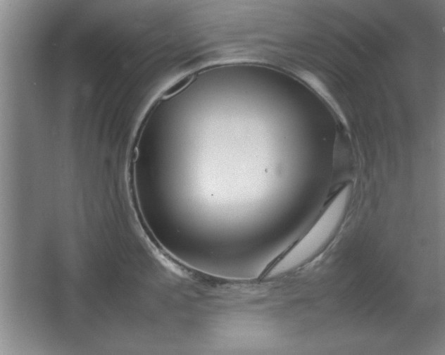 X0000064061197200602101522