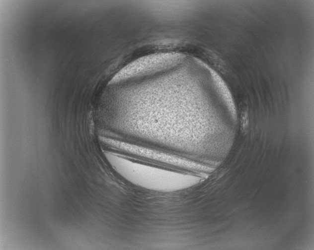 X0000064061204200602101521