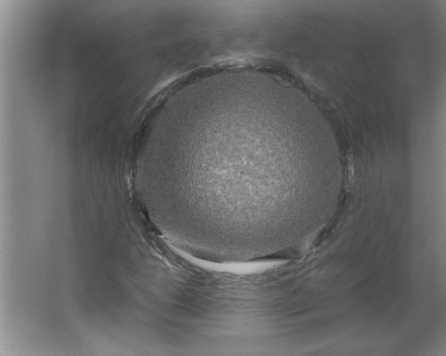 X0000064061206200602101521