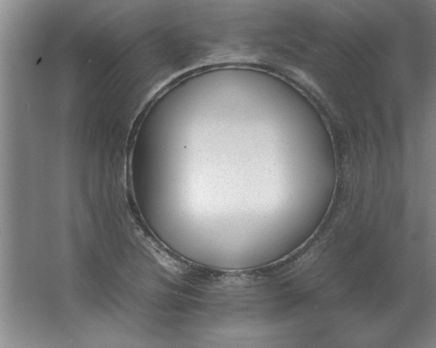 X0000064061220200602101521