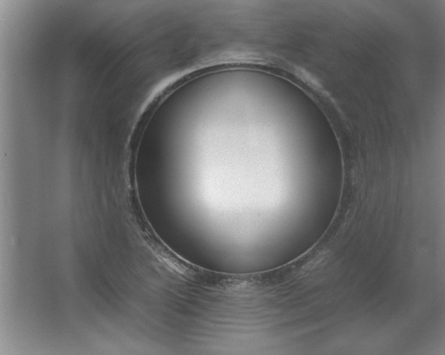 X0000064061222200602101521