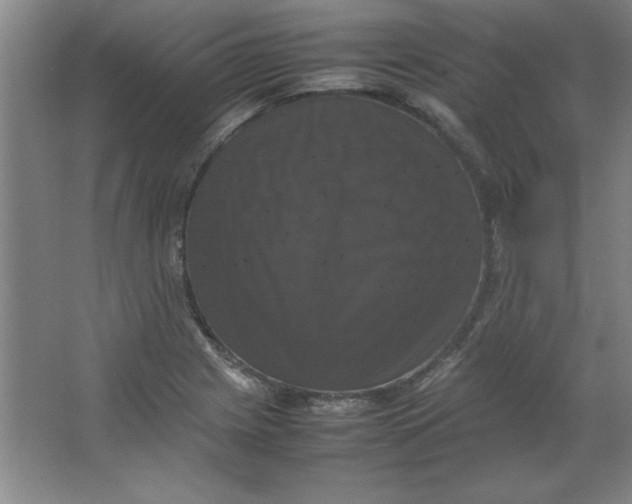 X0000064061225200602101521