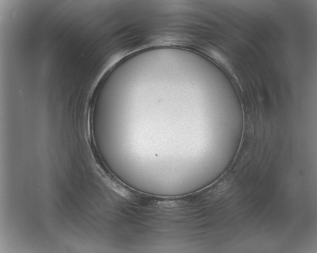 X0000064061227200602101522