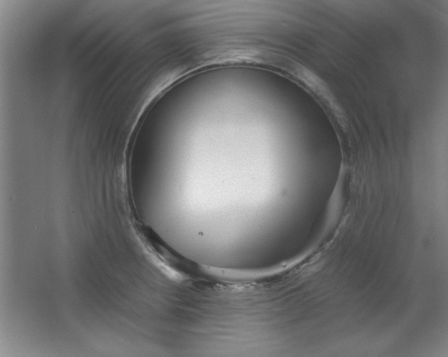 X0000064061234200602101522