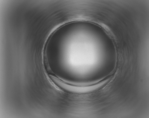 X0000064061238200602101522