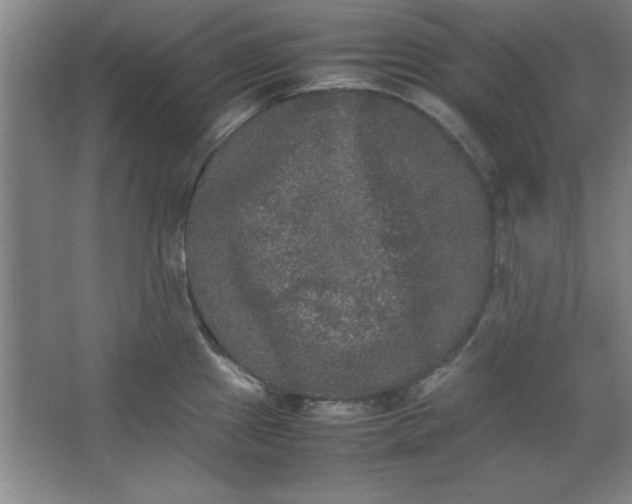 X0000064061241200602101522