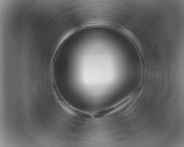 X0000064061242200602101522