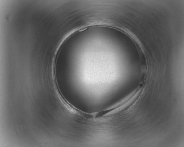 X0000064061246200602101522