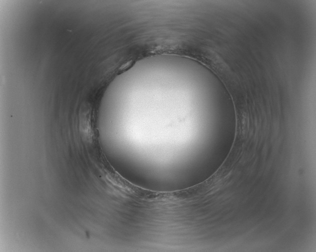 X0000064061250200602101521