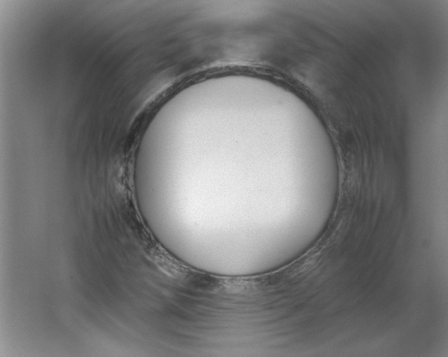 X0000064061258200602101521