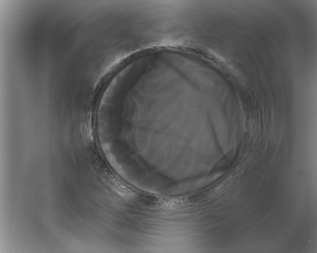 X0000064061262200602101521