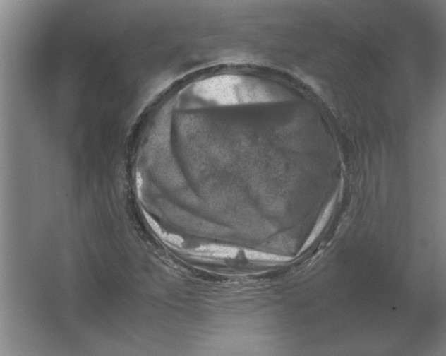X0000064061263200602101521