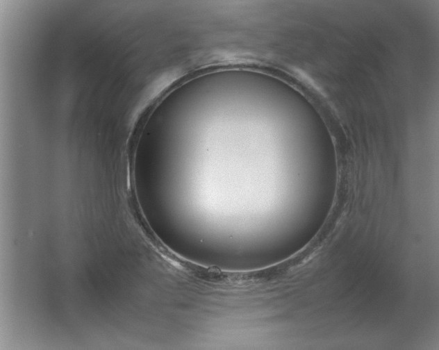 X0000064061269200602101521
