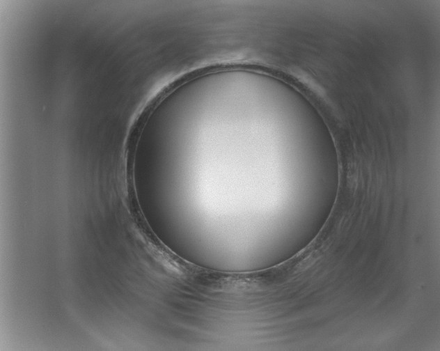 X0000064061270200602101521