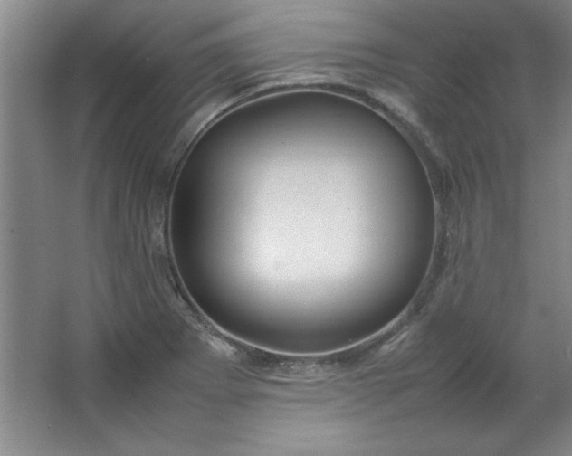 X0000064061273200602101521