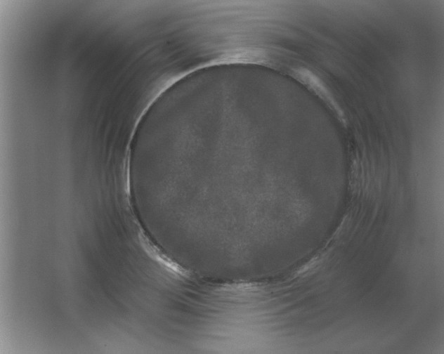 X0000064061276200602101521