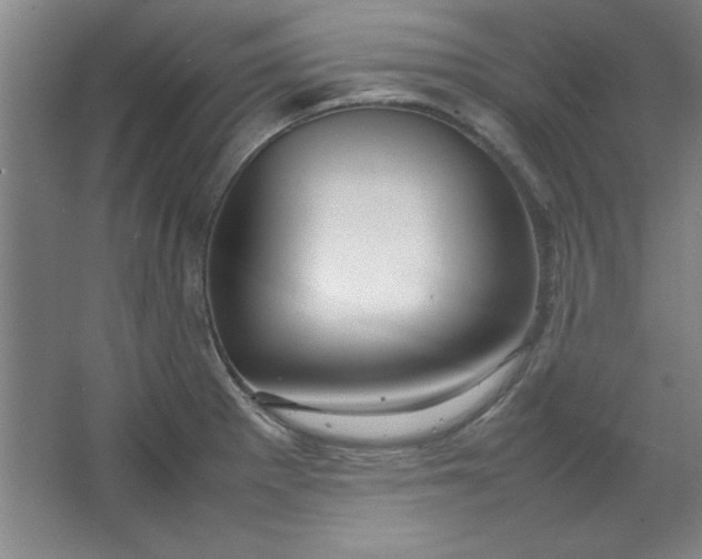 X0000064061281200602101521