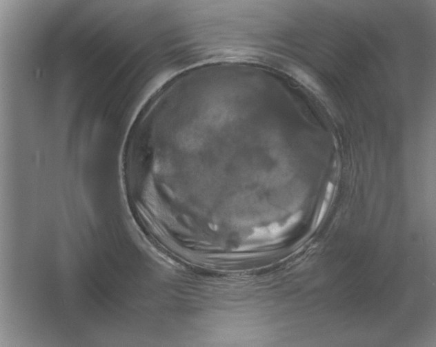 X0000064061283200602101520