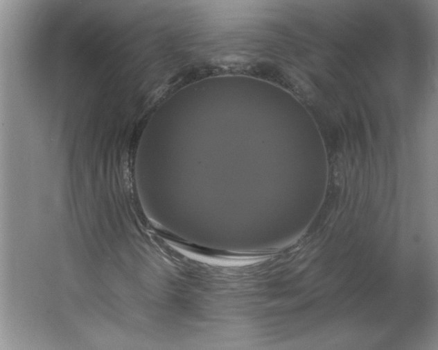 X0000064061298200602101519