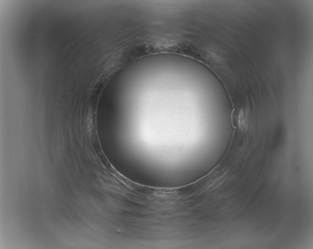 X0000064061299200602101519