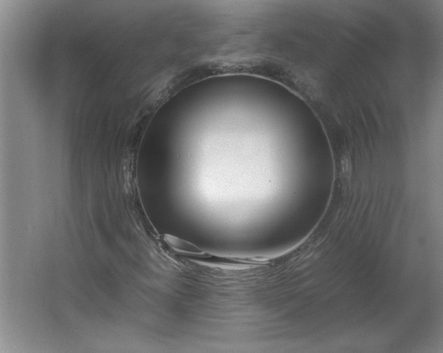 X0000064061300200602101519