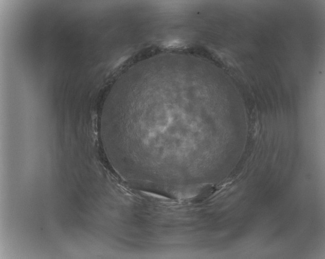X0000064061301200602101520