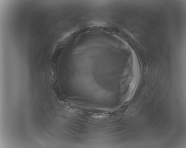 X0000064061303200602101520