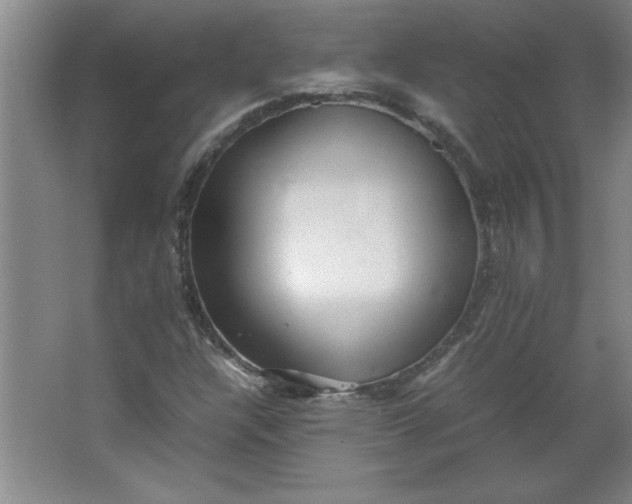 X0000064061304200602101520