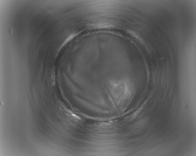 X0000064061306200602101520