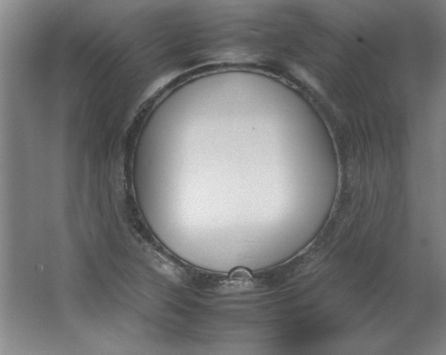 X0000064061315200602101520