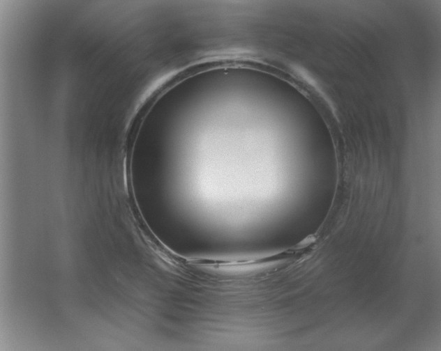 X0000064061320200602101520