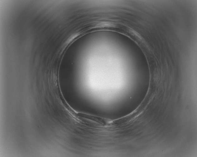 X0000064061321200602101520