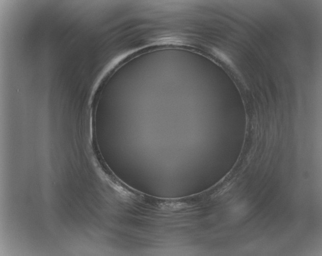 X0000064061323200602101520
