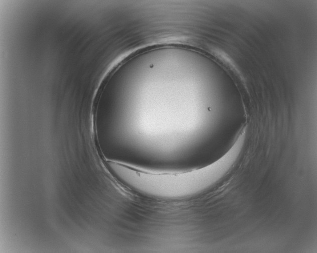 X0000064061324200602101520