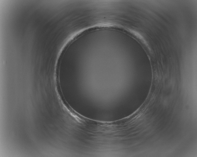 X0000064061327200602101520