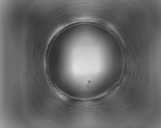 X0000064061328200602101520