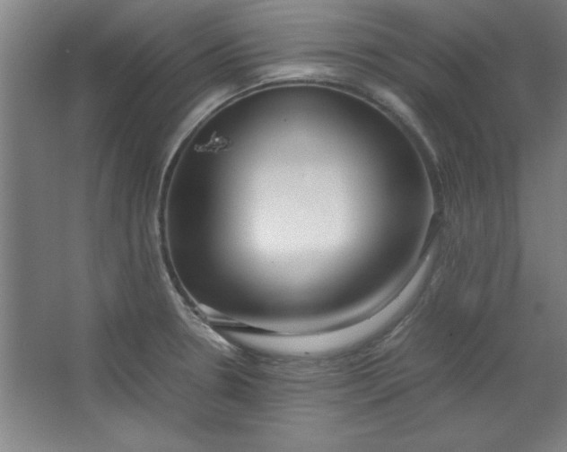X0000064061330200602101520